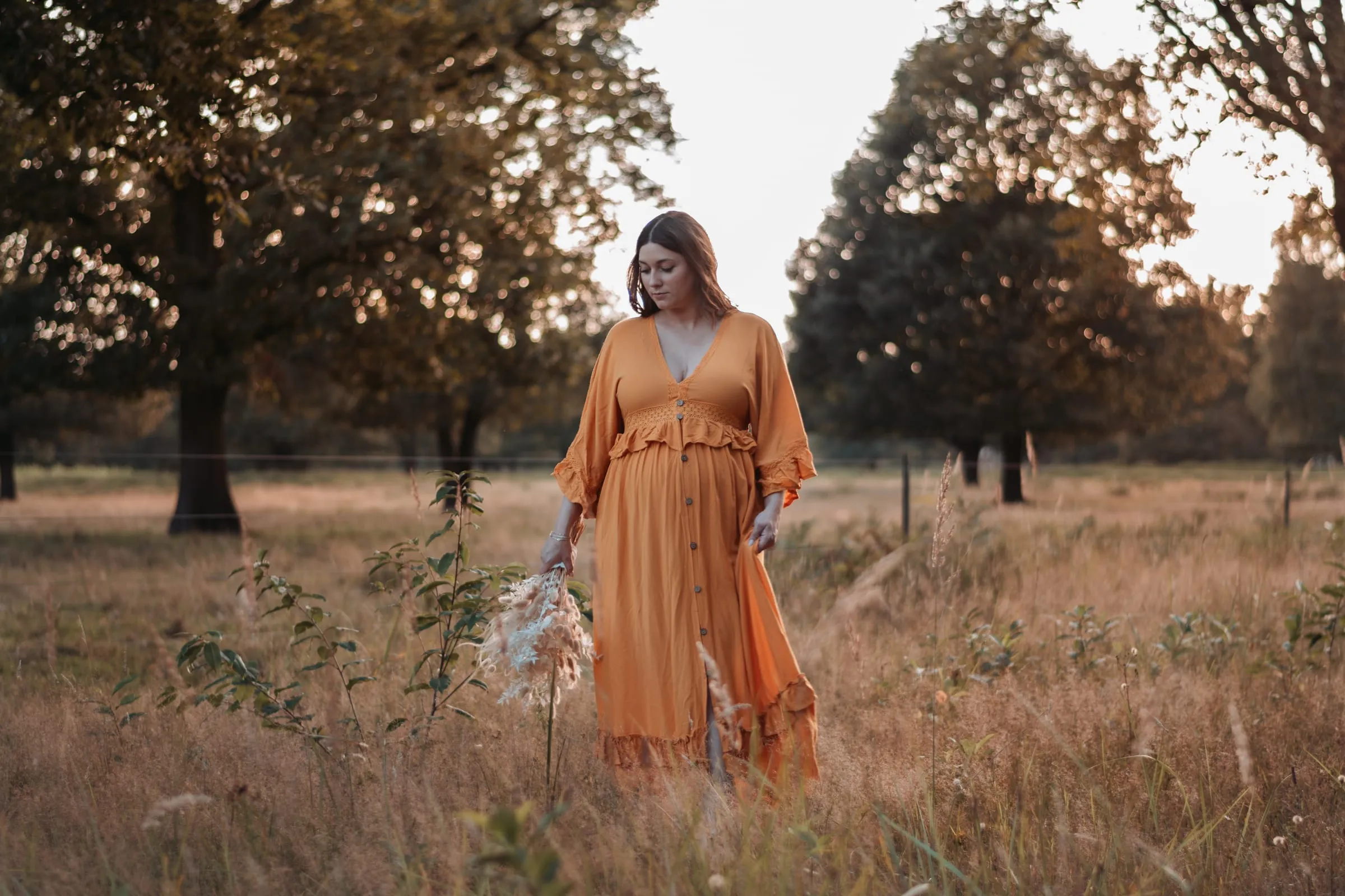 Schwangere im orangen Kleid auf einer Wiese mit alten Bäumen