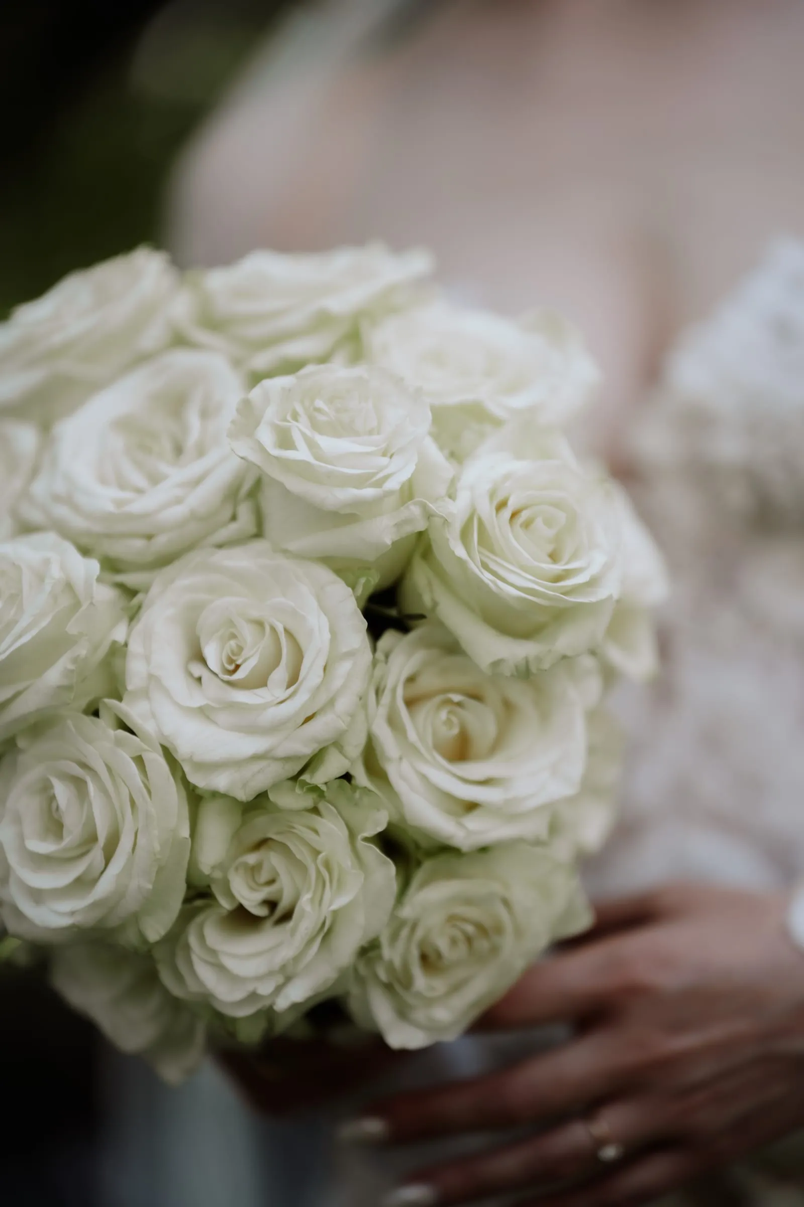 Nahaufnahme des Brautstraußes aus weißen Rosen