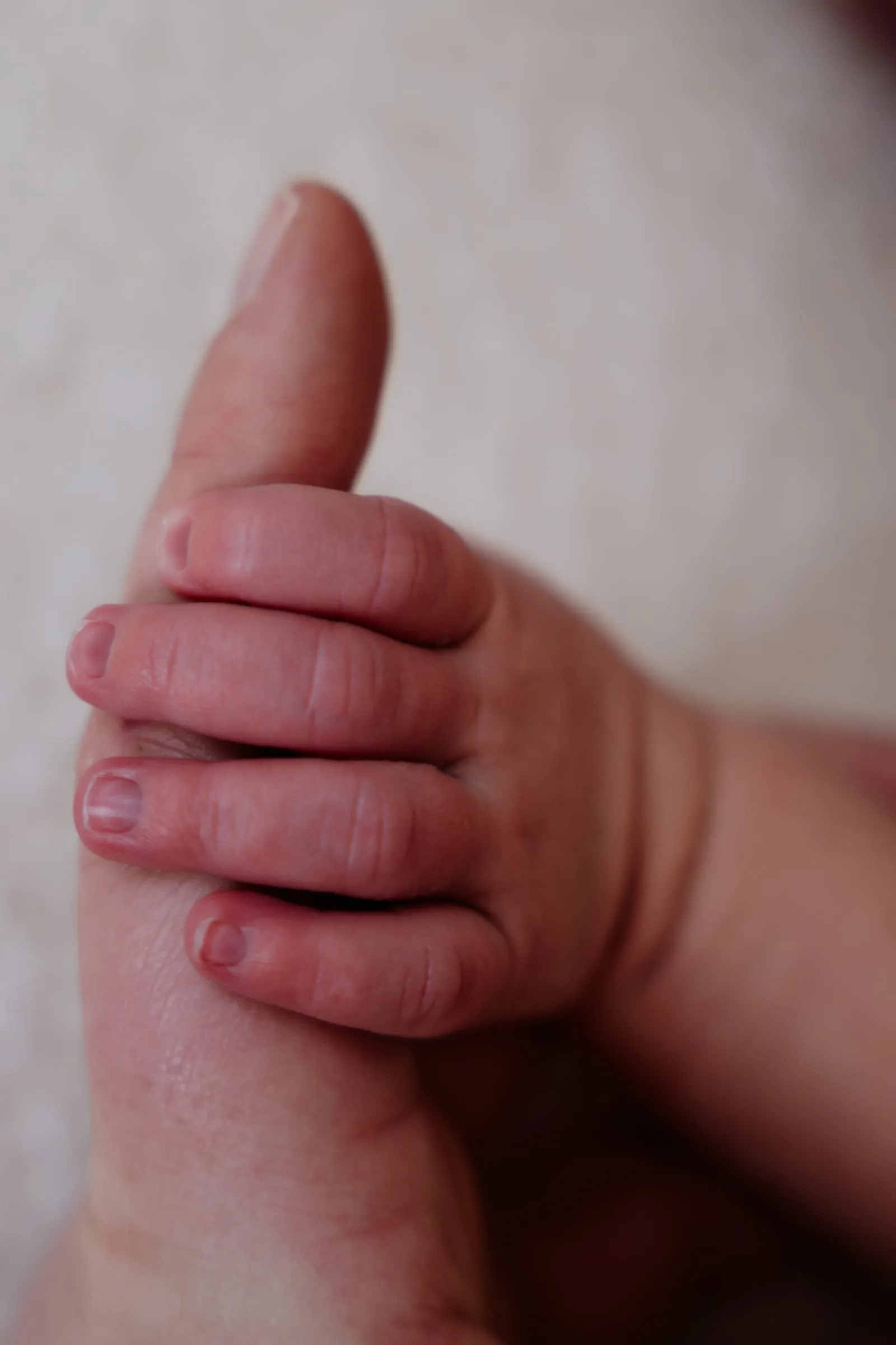 Die winzige Hand des Babys umfasst einen Finger